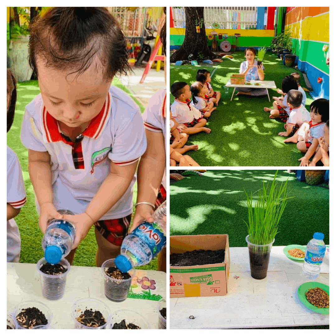 Chương trình học