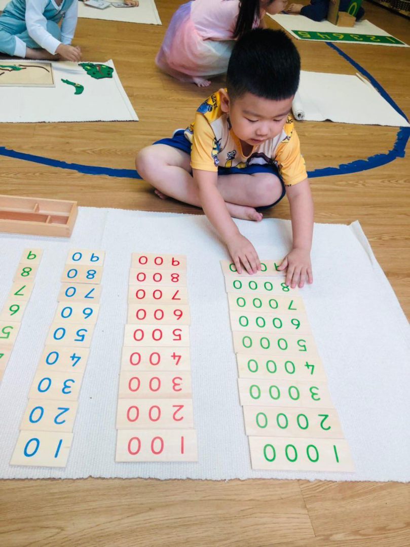 Chương trình học