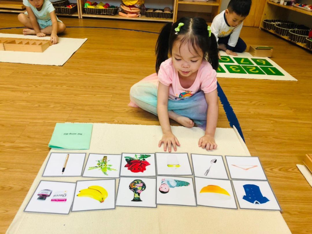 Chương trình học