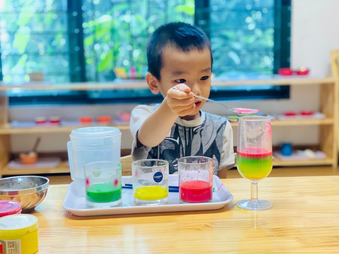 Chương trình học