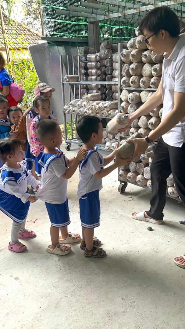 Chương trình học