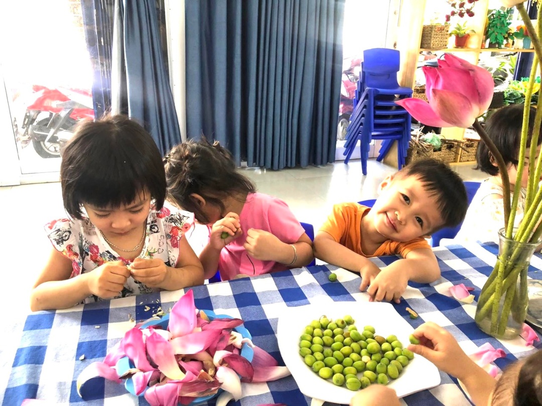 Chương trình học