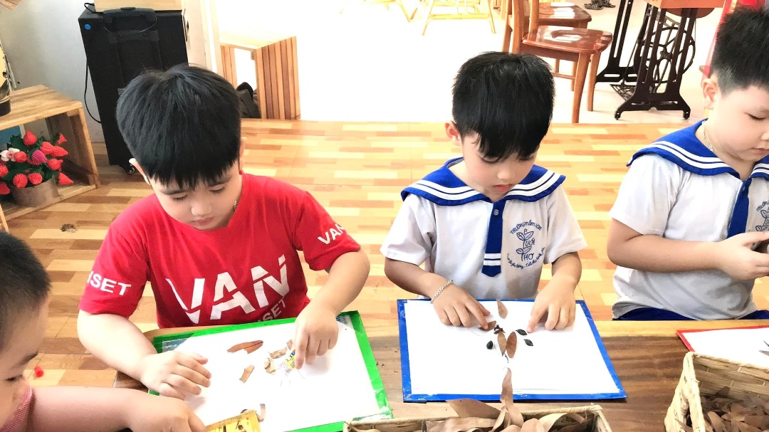 Chương trình học