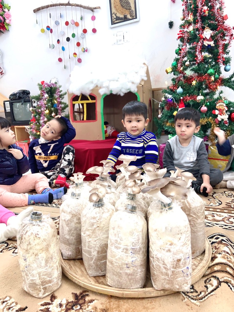 Chương trình học