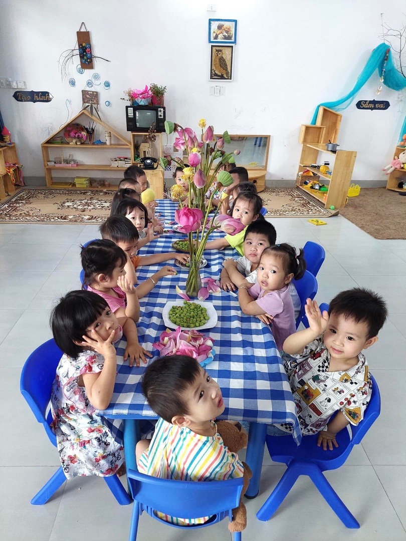 Chương trình học