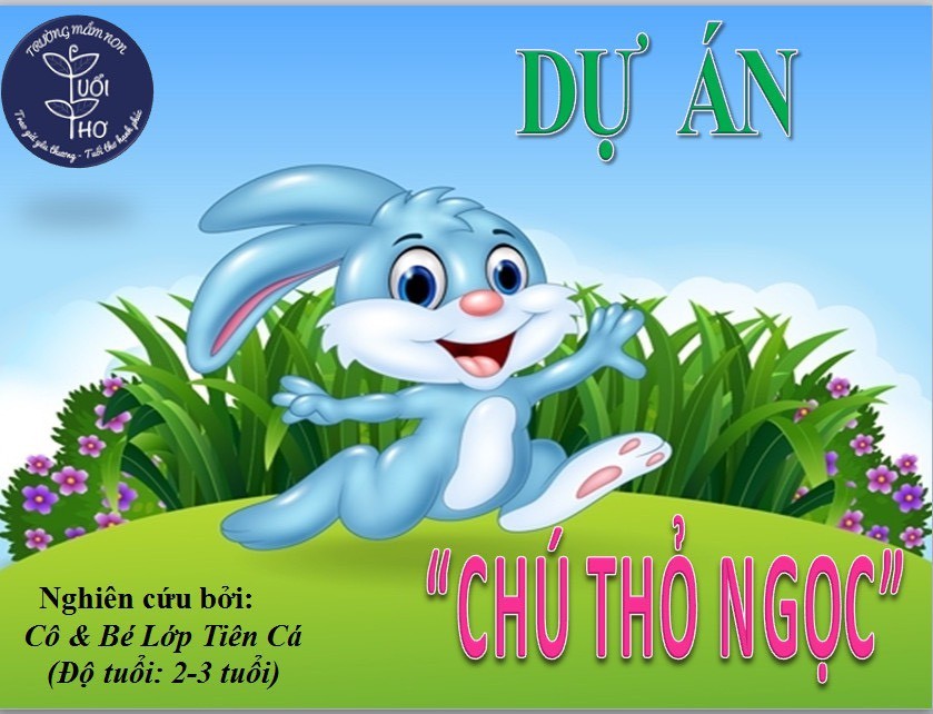 Chương trình học