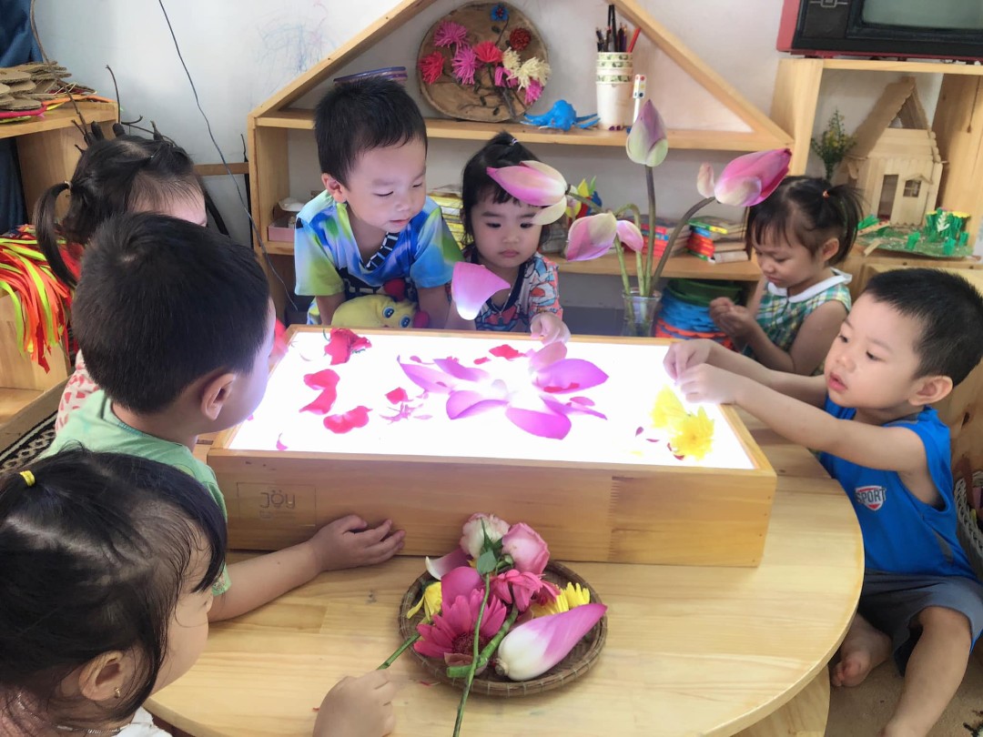 Chương trình học