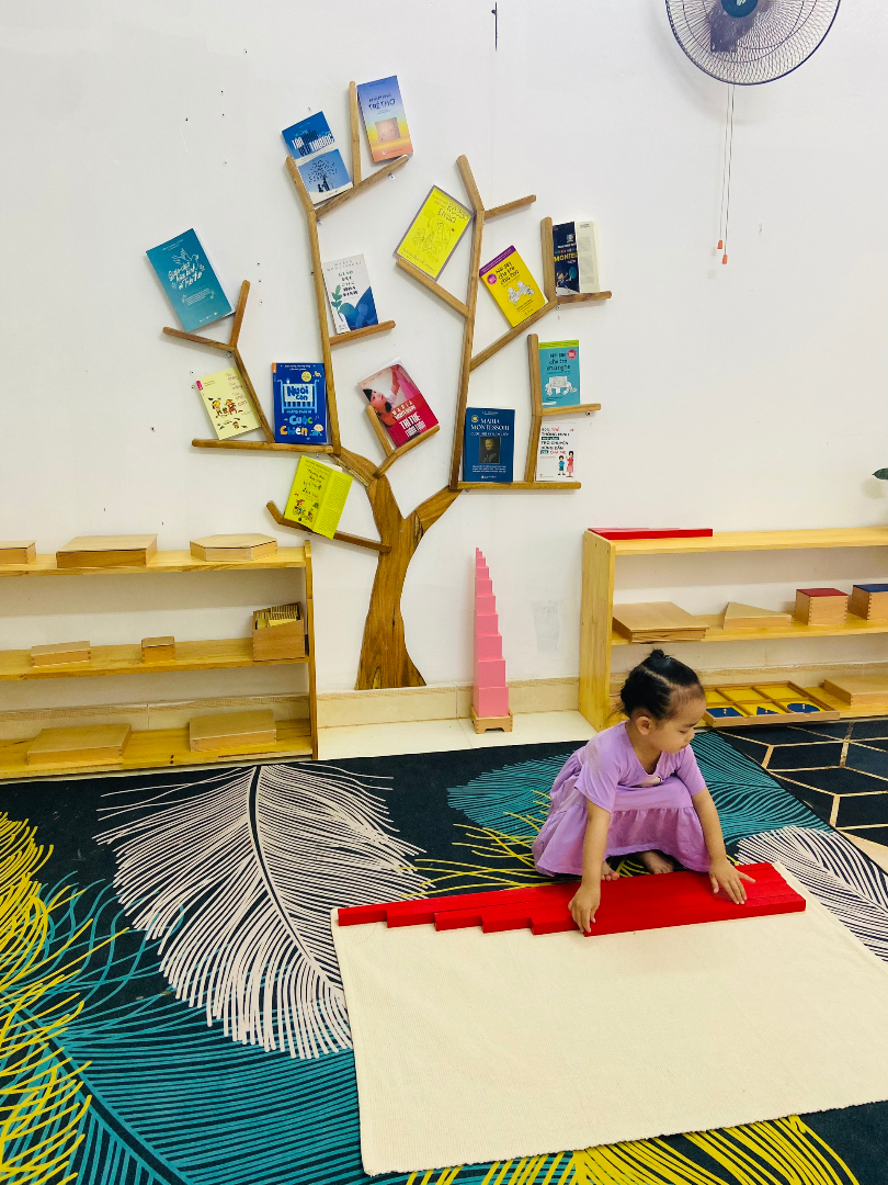 Chương trình học