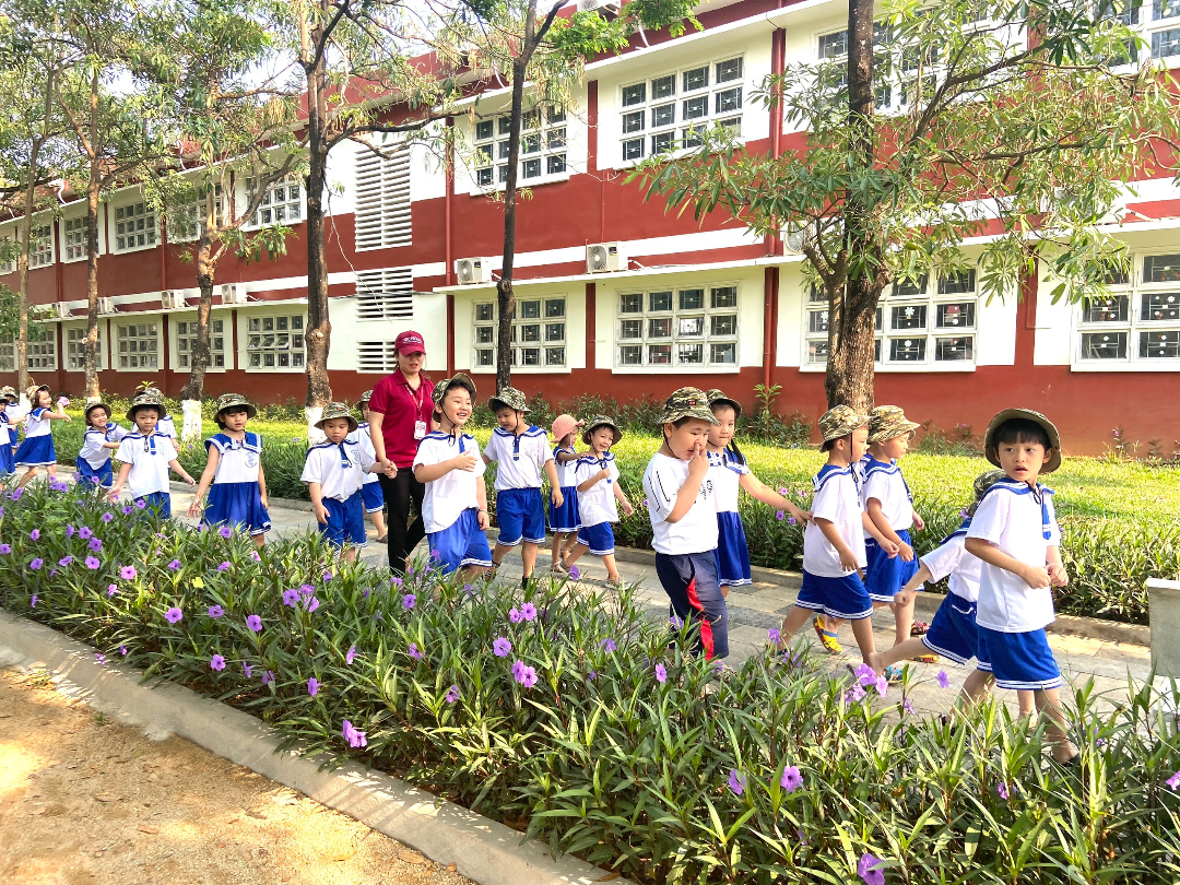 Chương trình học