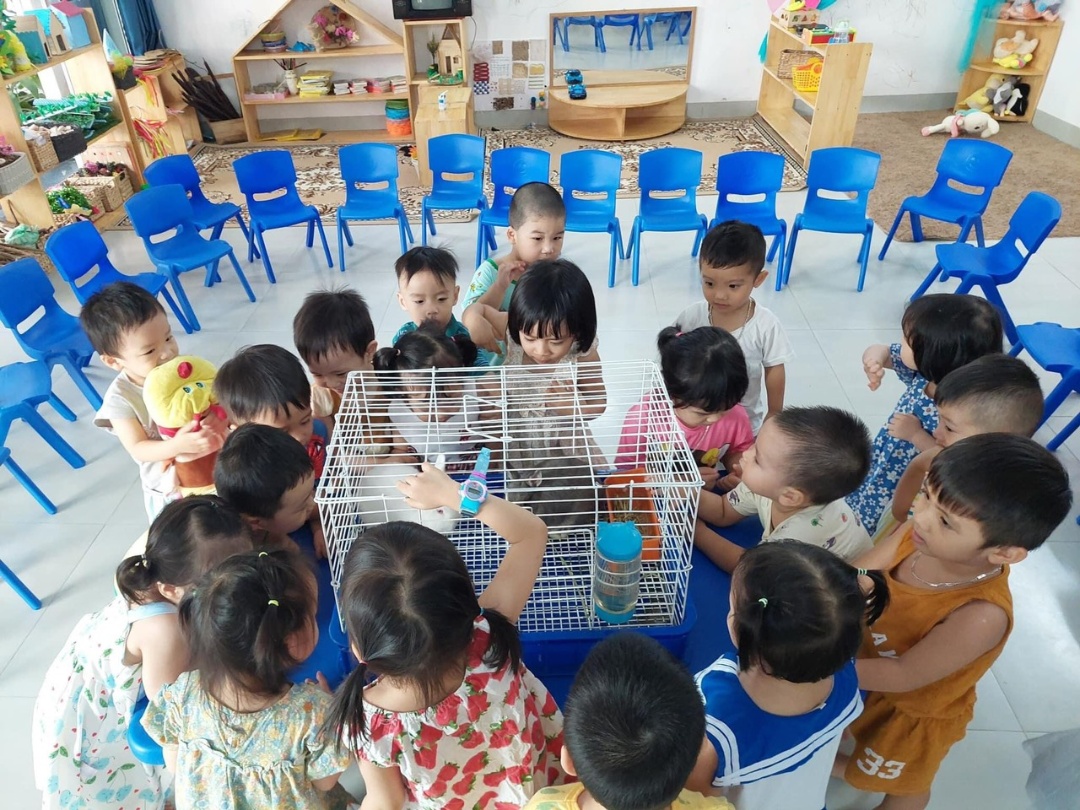 Chương trình học