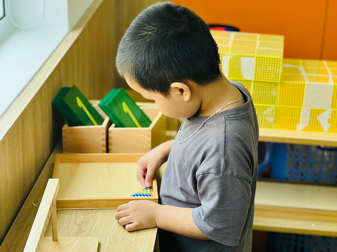 Chương trình học