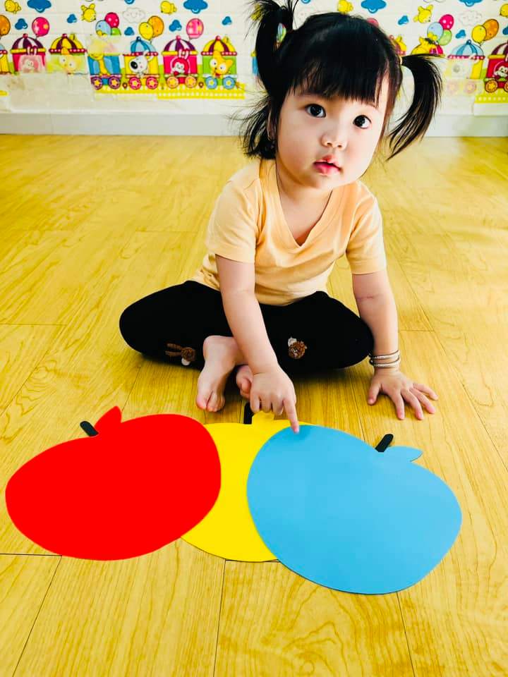 Chương trình học