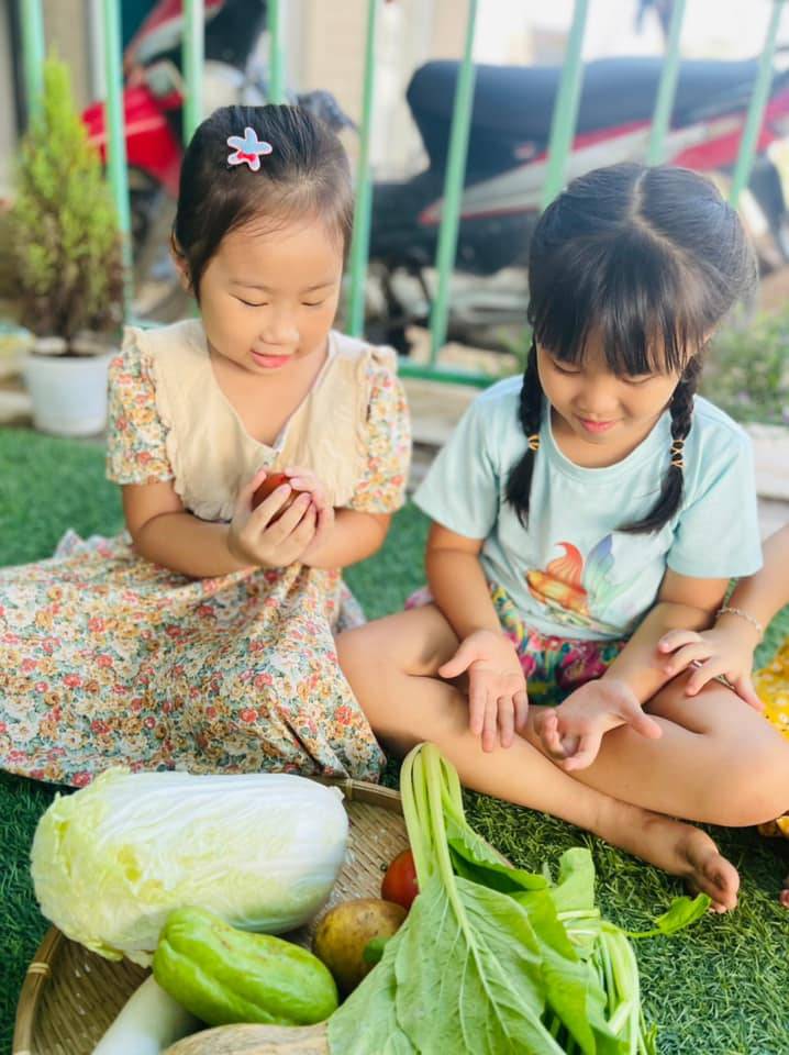 Chương trình học