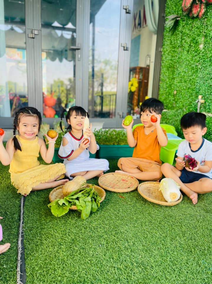 Chương trình học