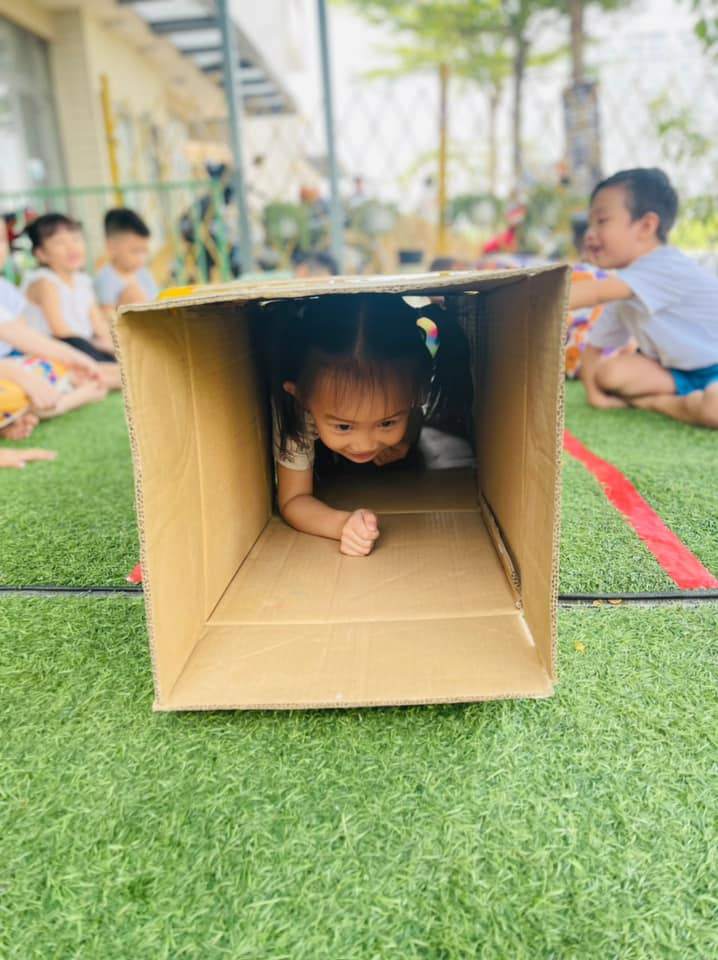 Chương trình học