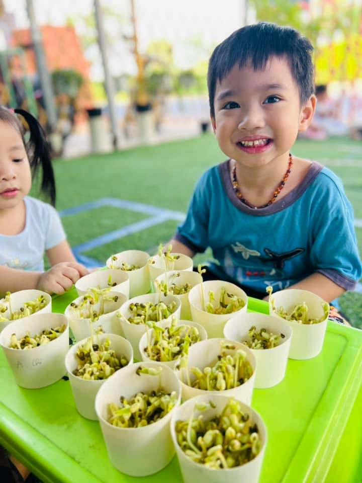 Chương trình học