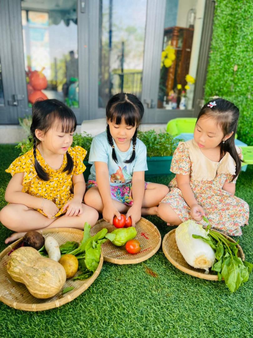 Chương trình học