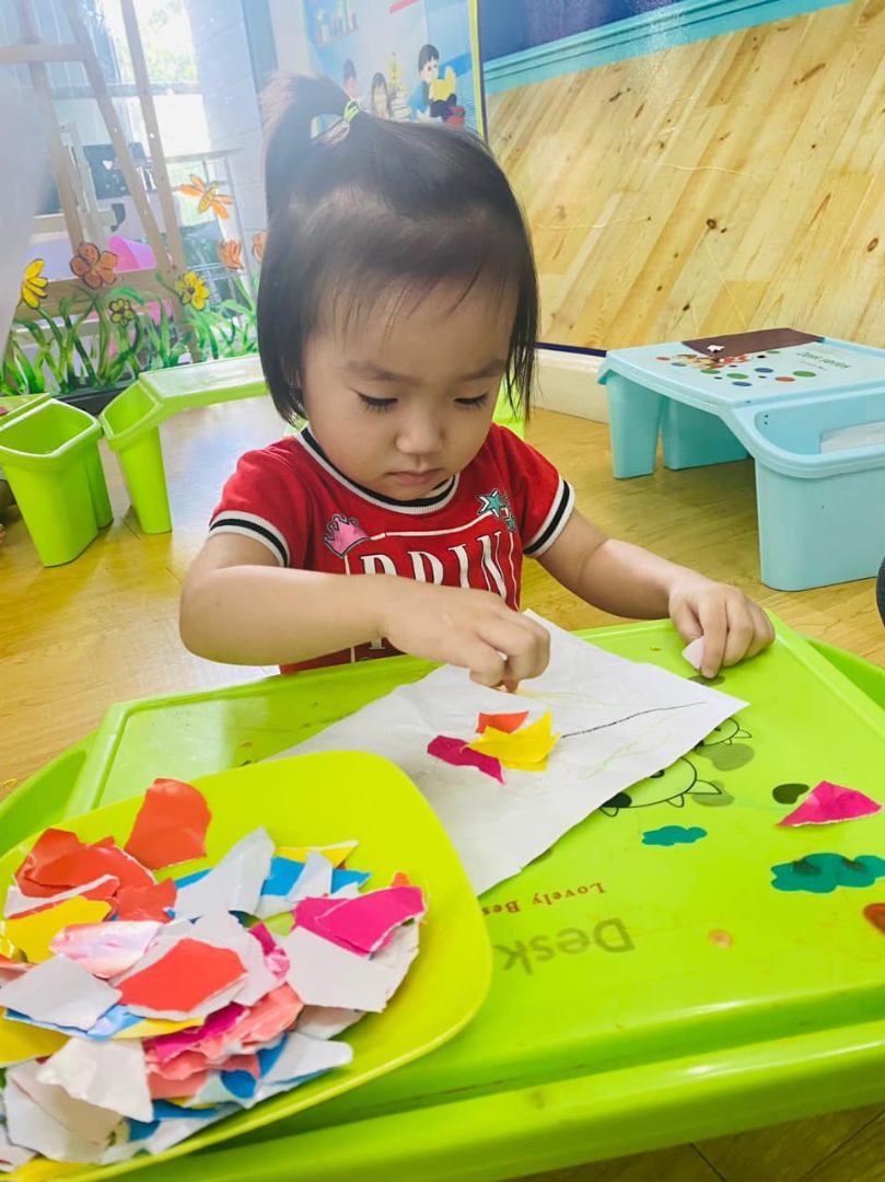 Chương trình học