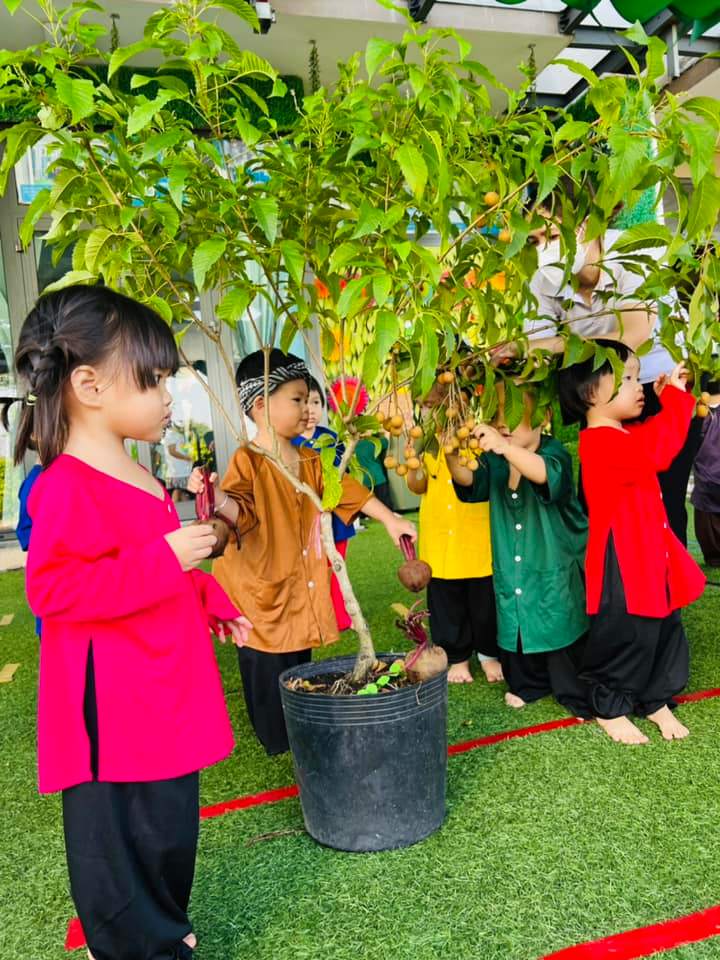 Chương trình học