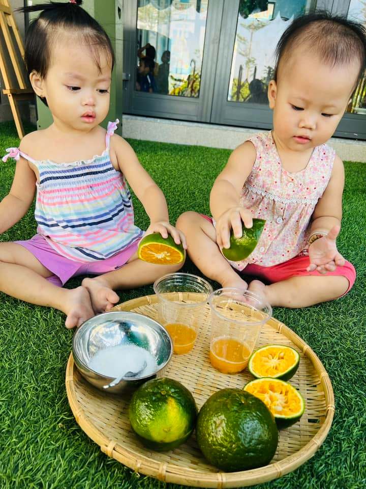 Chương trình học