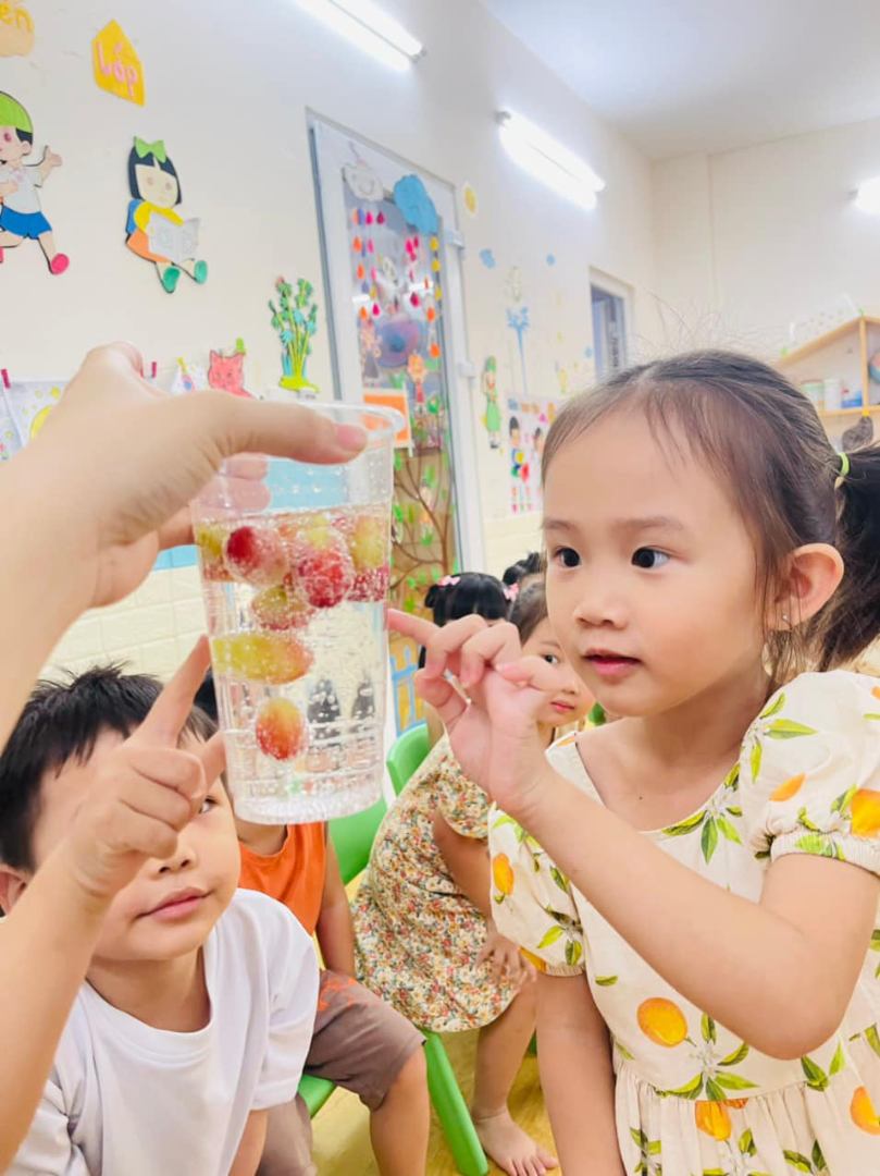 Chương trình học