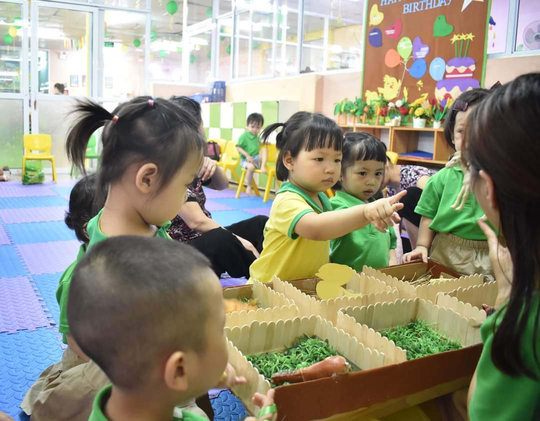 Chương trình học