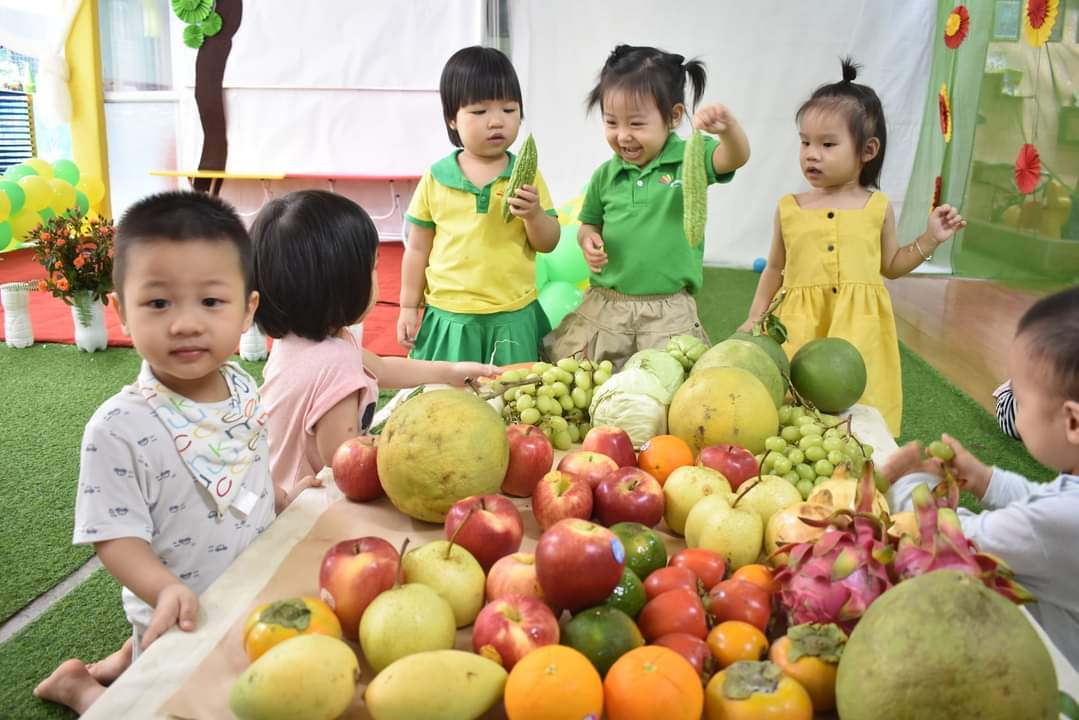 Chương trình học