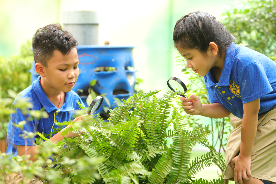 Chương trình học