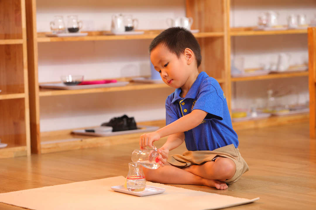 Chương trình học