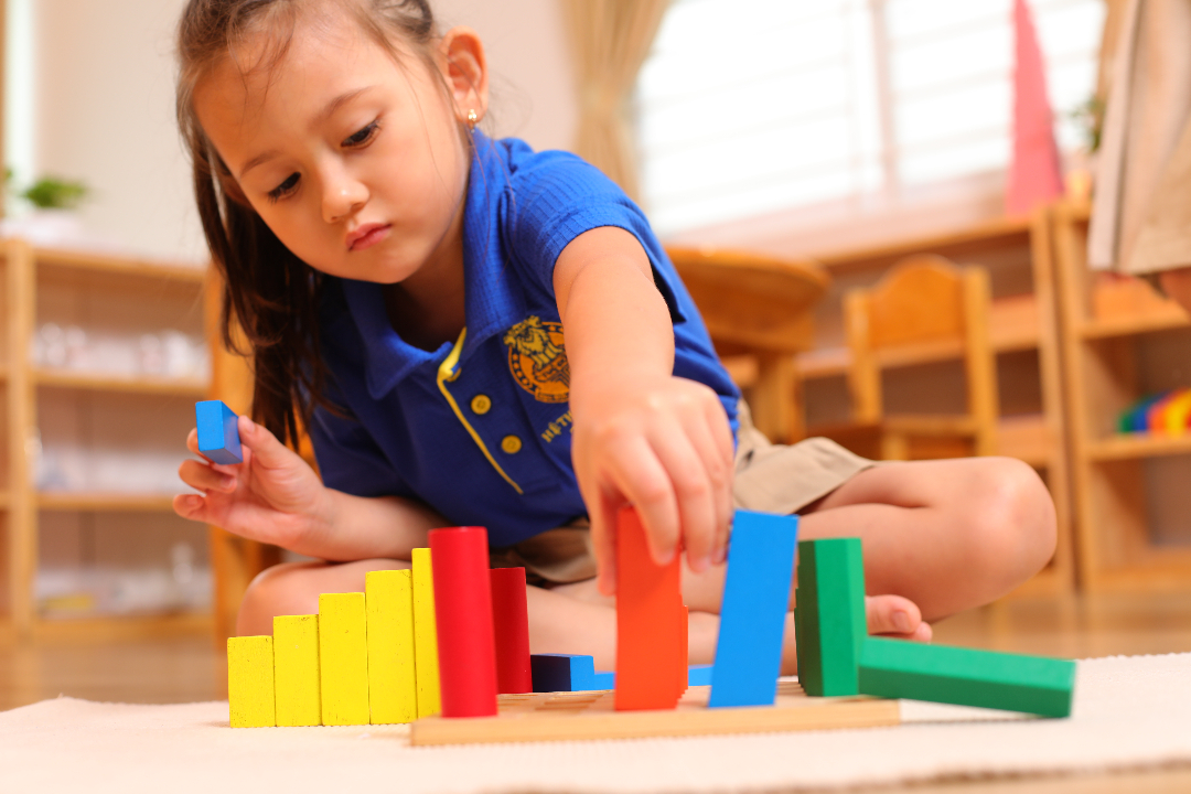 Chương trình học