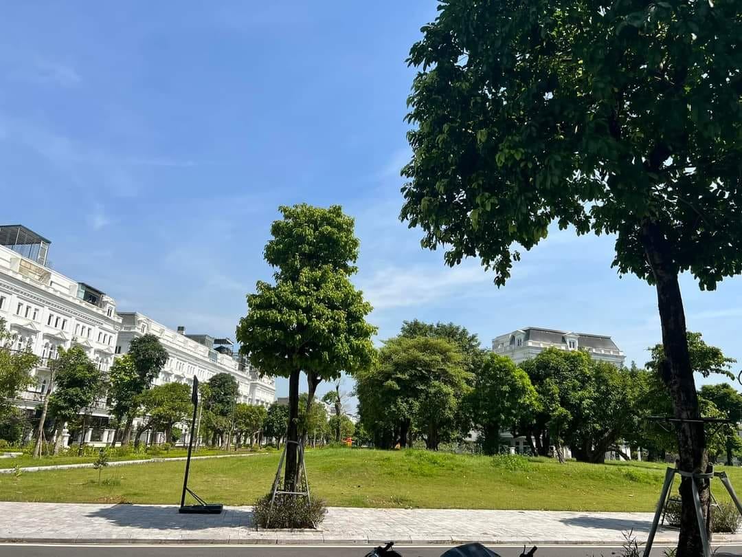 Cơ cở vật chất