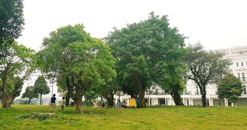 Cơ cở vật chất