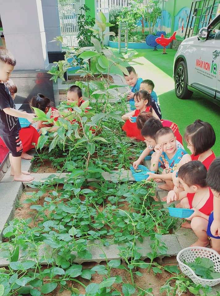 Cơ cở vật chất