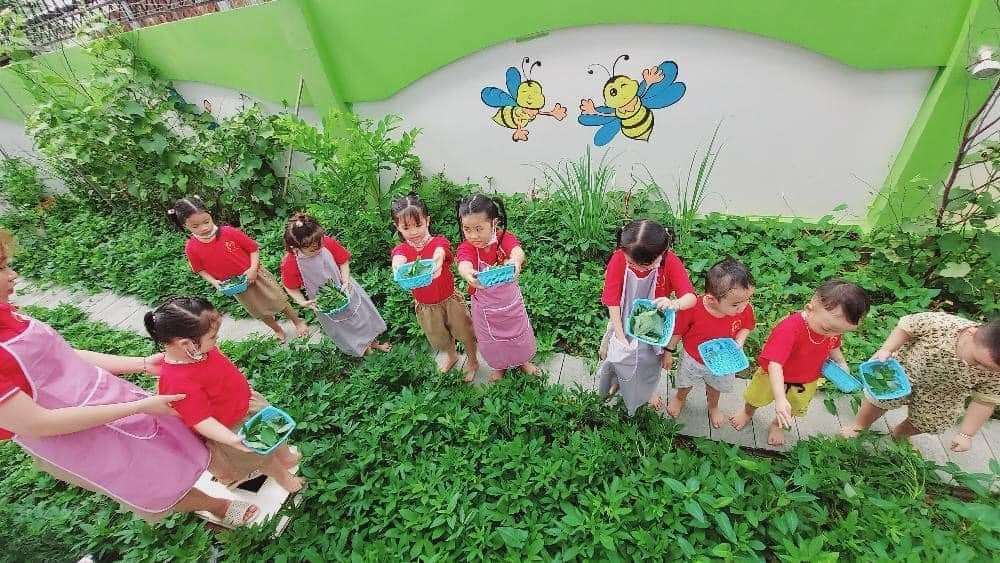 Cơ cở vật chất