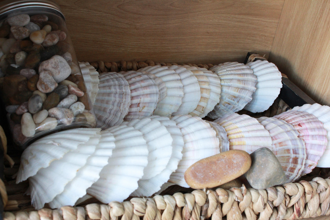 Cơ cở vật chất