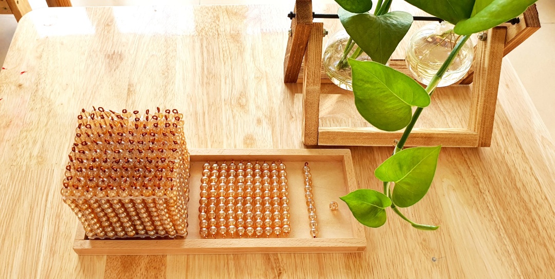 Cơ cở vật chất