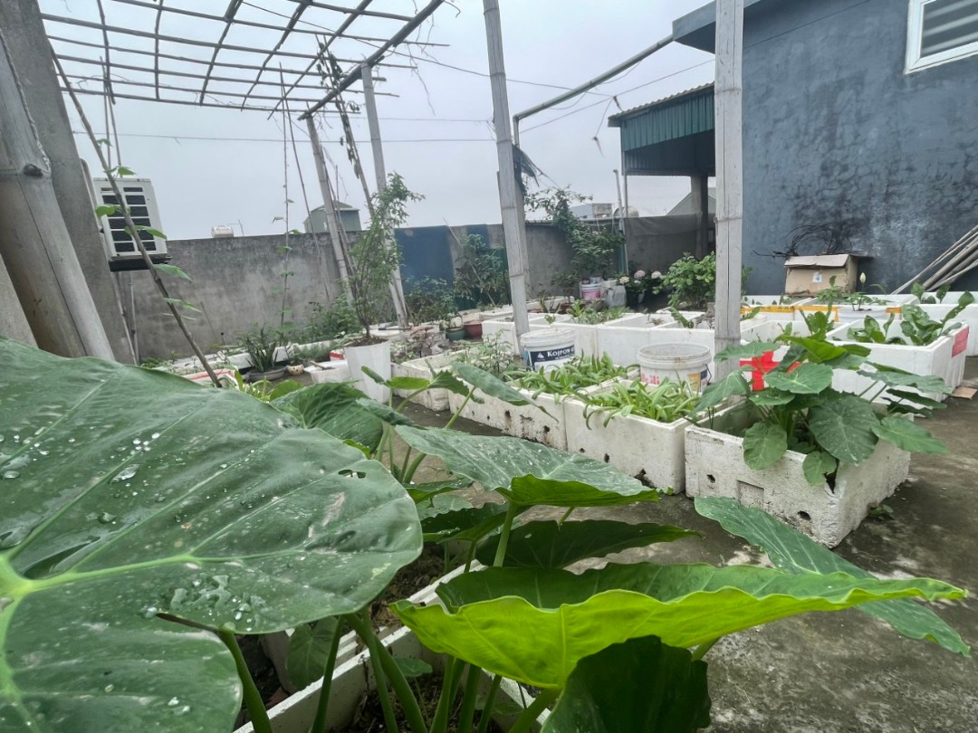 Cơ cở vật chất