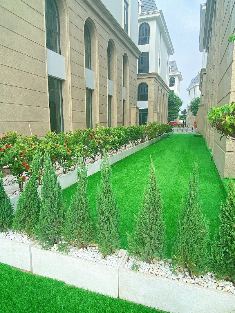 Cơ cở vật chất