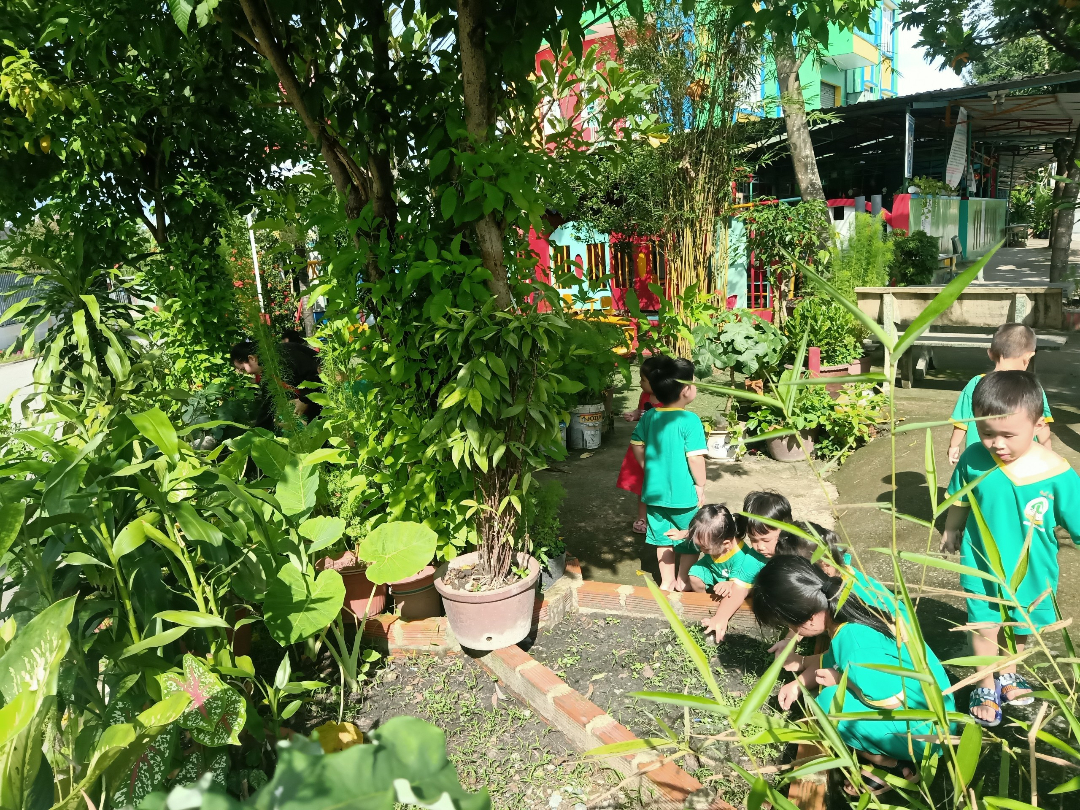 Cơ cở vật chất