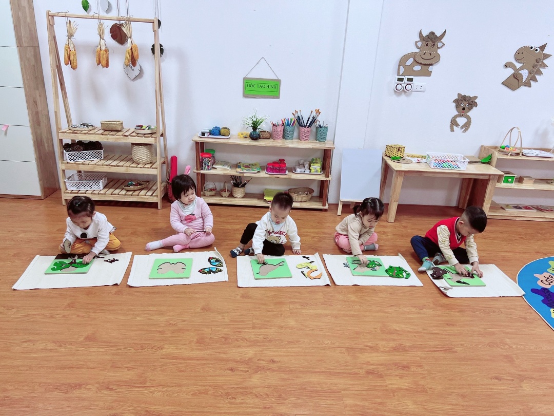 Cơ cở vật chất