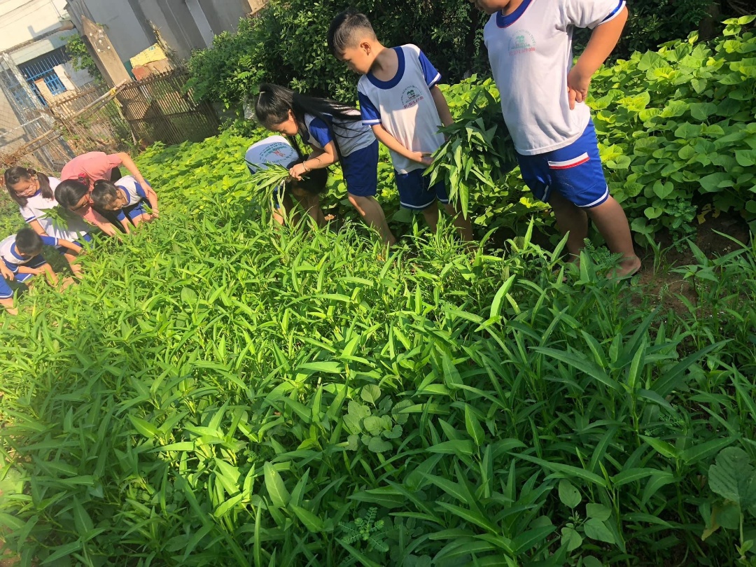 Cơ cở vật chất