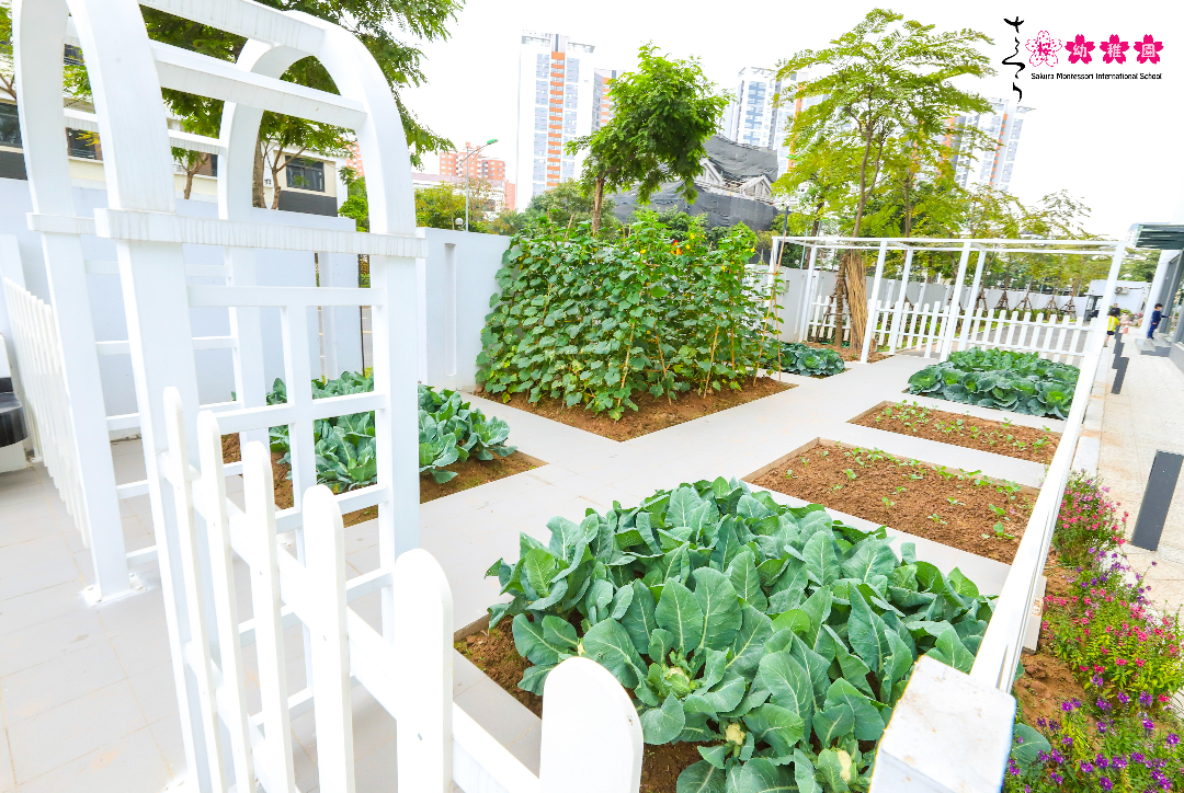 Cơ cở vật chất