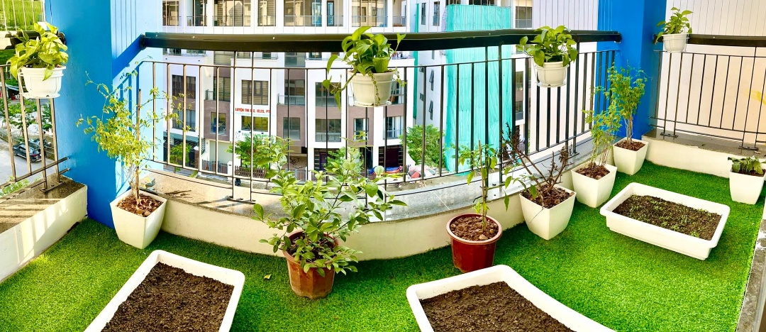 Cơ cở vật chất