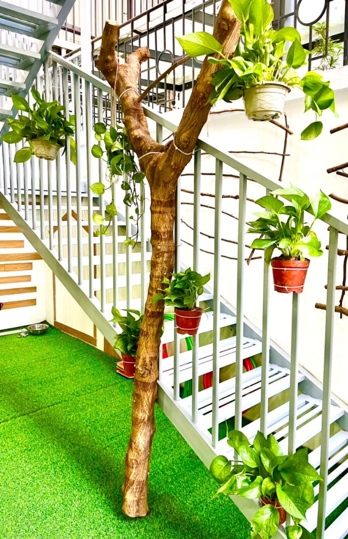 Cơ cở vật chất