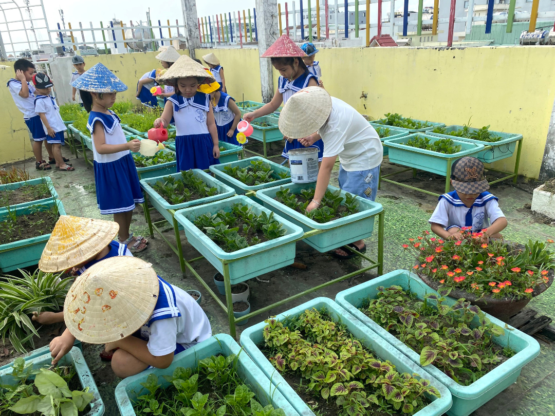 Cơ cở vật chất