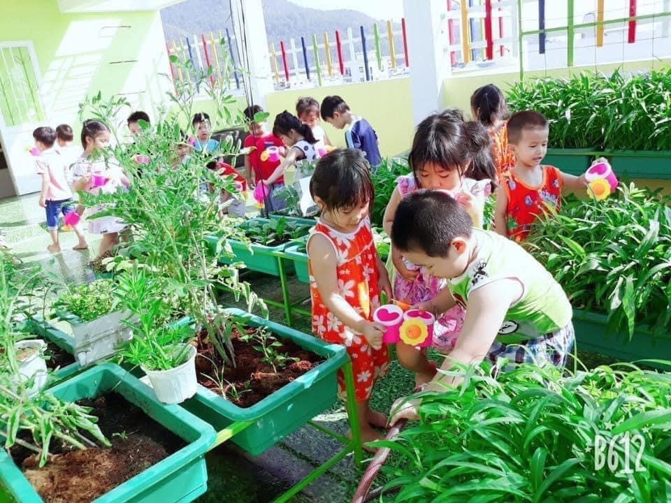 Cơ cở vật chất