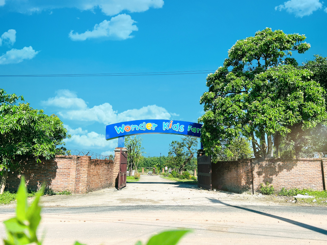 Cơ cở vật chất