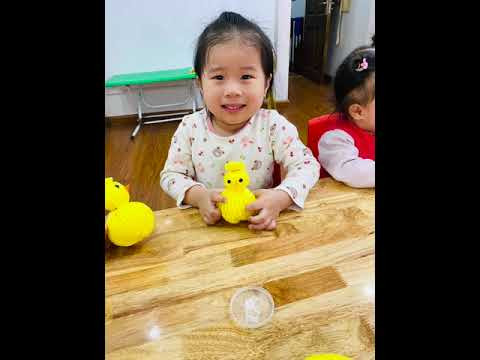 ĐÀN GÀ CON LÔNG VÀNG