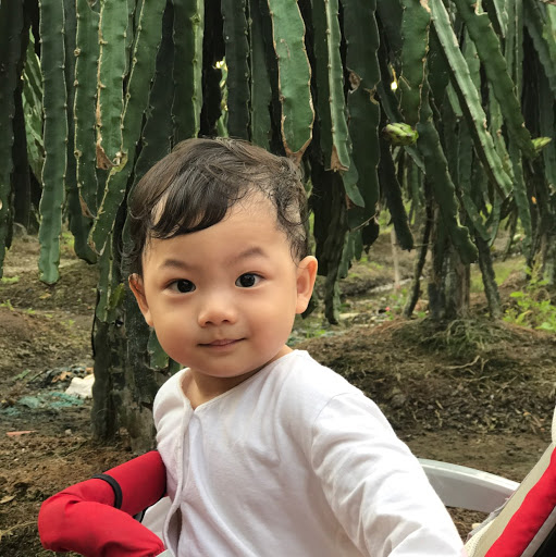 Chau Minh