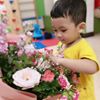Top 25 trường mầm non tại Quận Hai Bà Trưng, Hà Nội được ba mẹ review tốt nhất